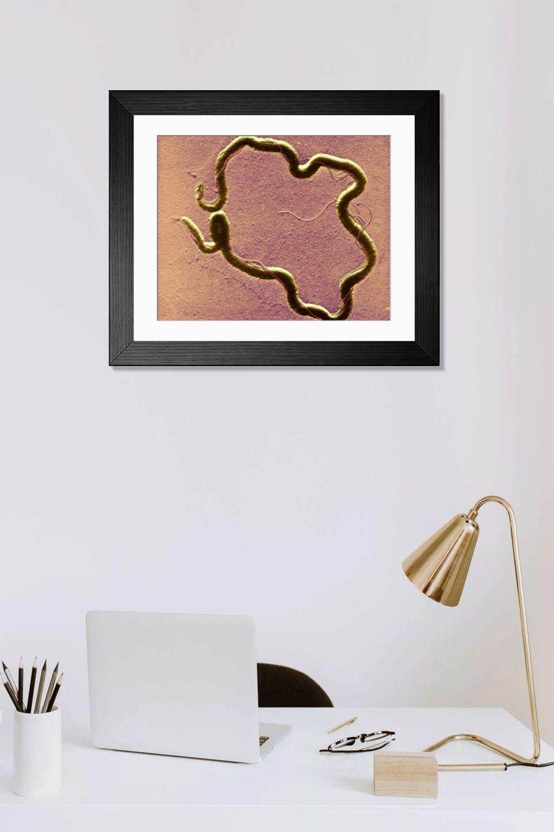 Shown hanging in a room: Modern 14"x12" (36x31cm)