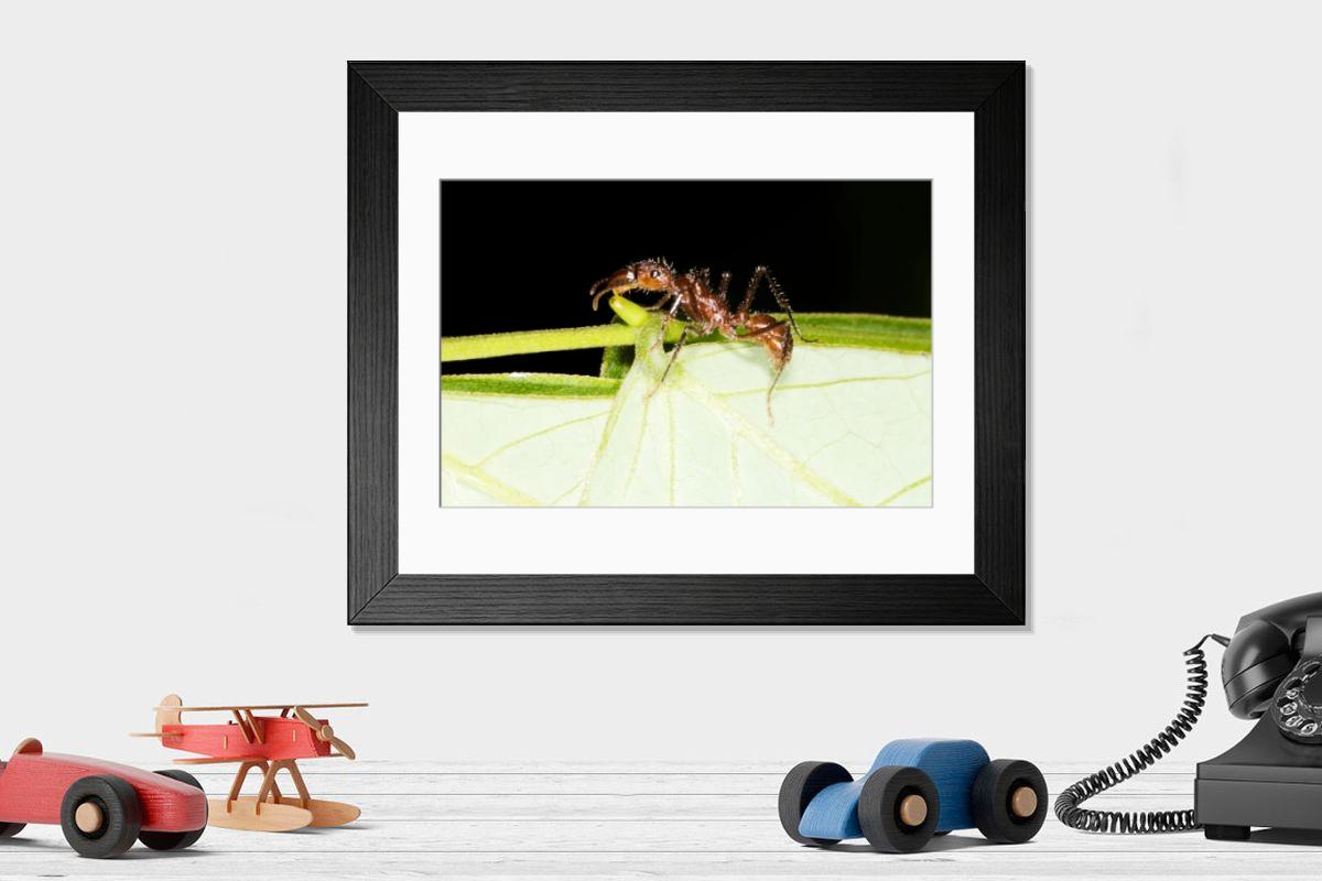 Shown hanging in a room: Modern 14"x12" (36x31cm)