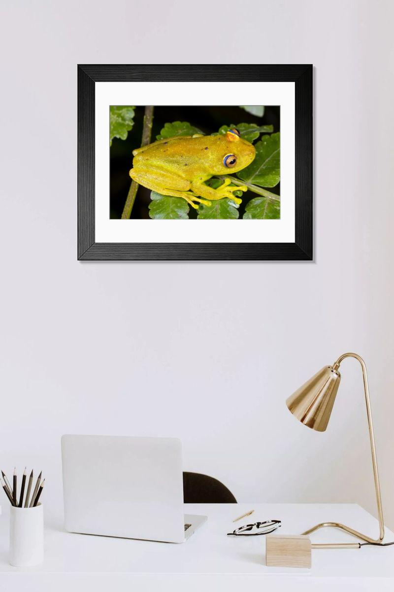 Shown hanging in a room: Modern 14"x12" (36x31cm)
