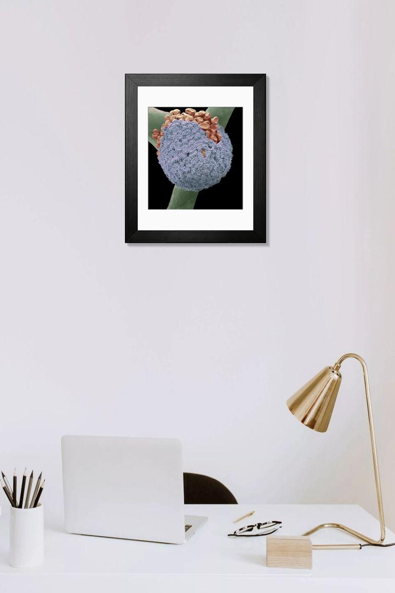 Shown hanging in a room: Modern 14"x12" (36x31cm)