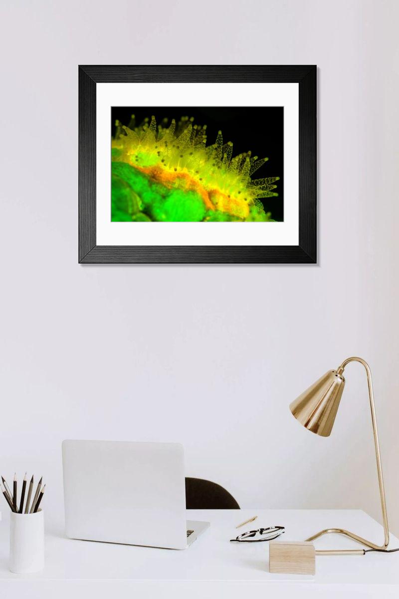 Shown hanging in a room: Modern 14"x12" (36x31cm)