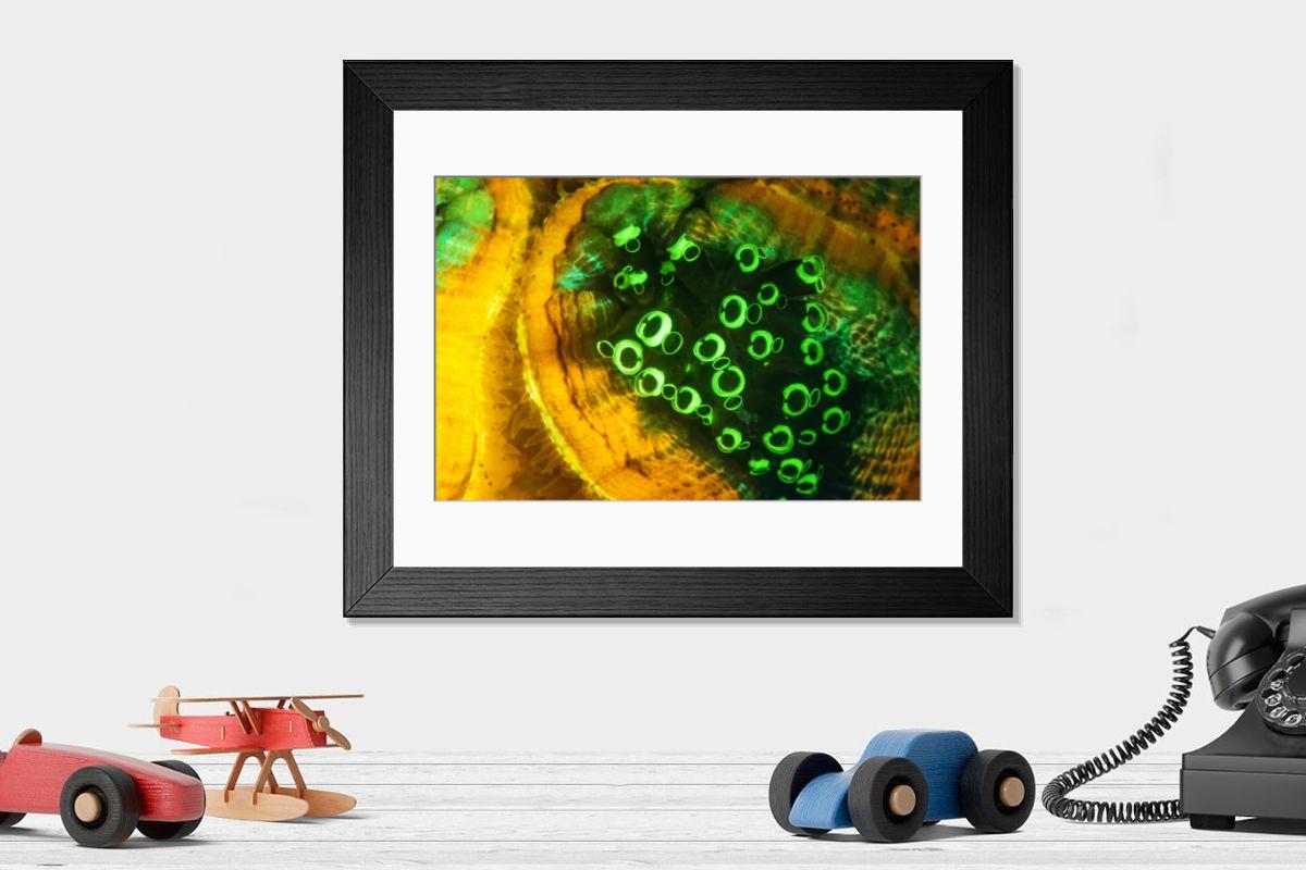 Shown hanging in a room: Modern 14"x12" (36x31cm)