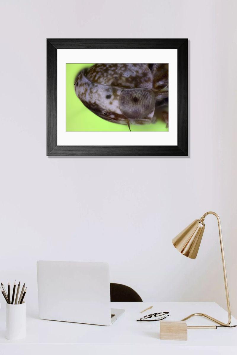 Shown hanging in a room: Modern 14"x12" (36x31cm)
