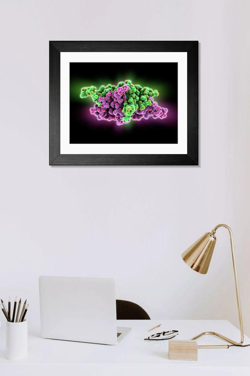 product preview 0