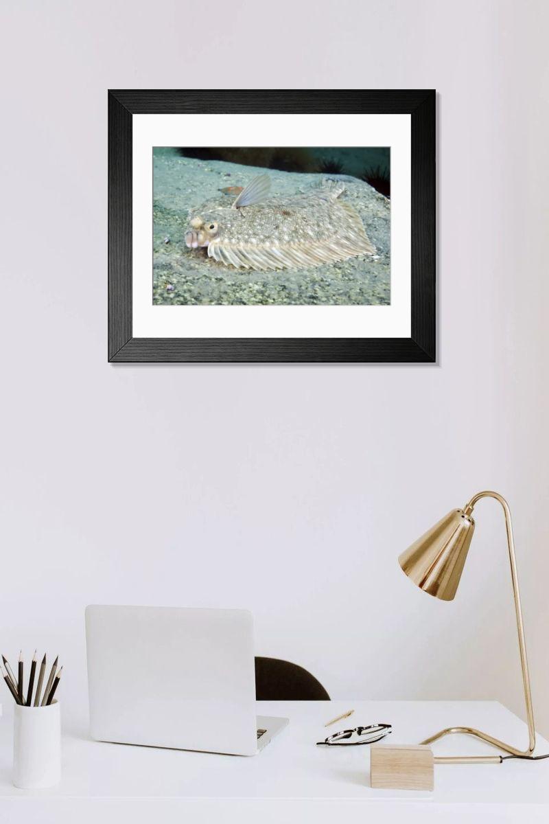 Shown hanging in a room: Modern 14"x12" (36x31cm)
