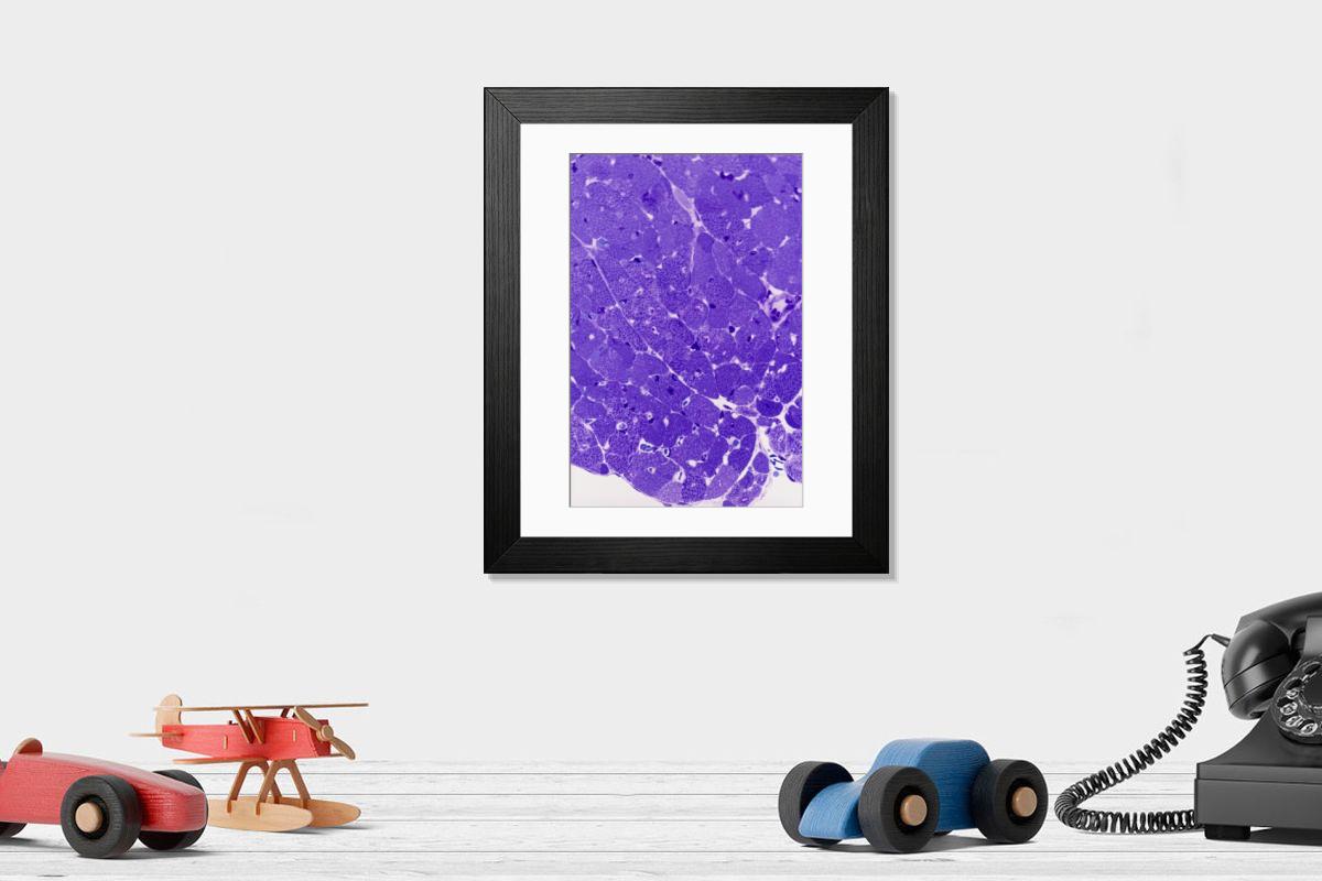 Shown hanging in a room: Modern 14"x12" (36x31cm)