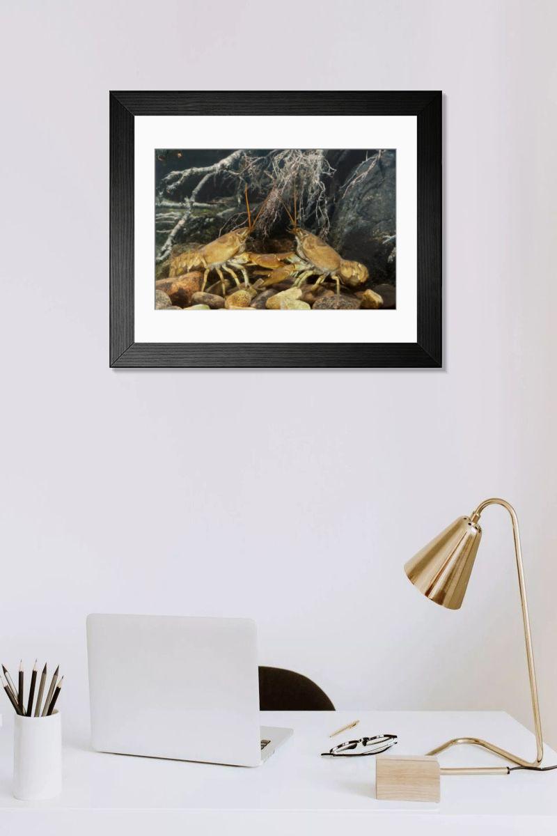 Shown hanging in a room: Modern 14"x12" (36x31cm)