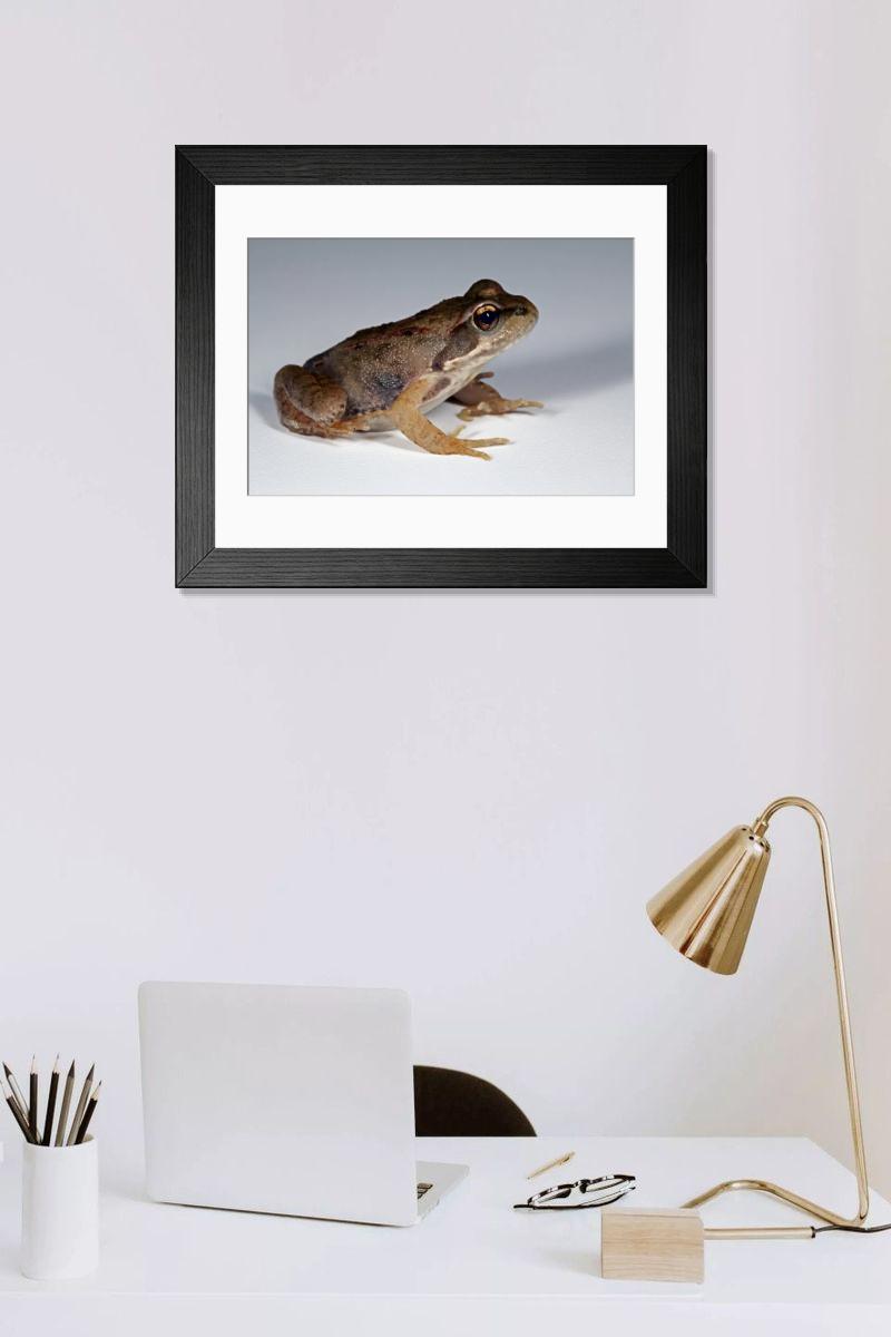 Shown hanging in a room: Modern 14"x12" (36x31cm)
