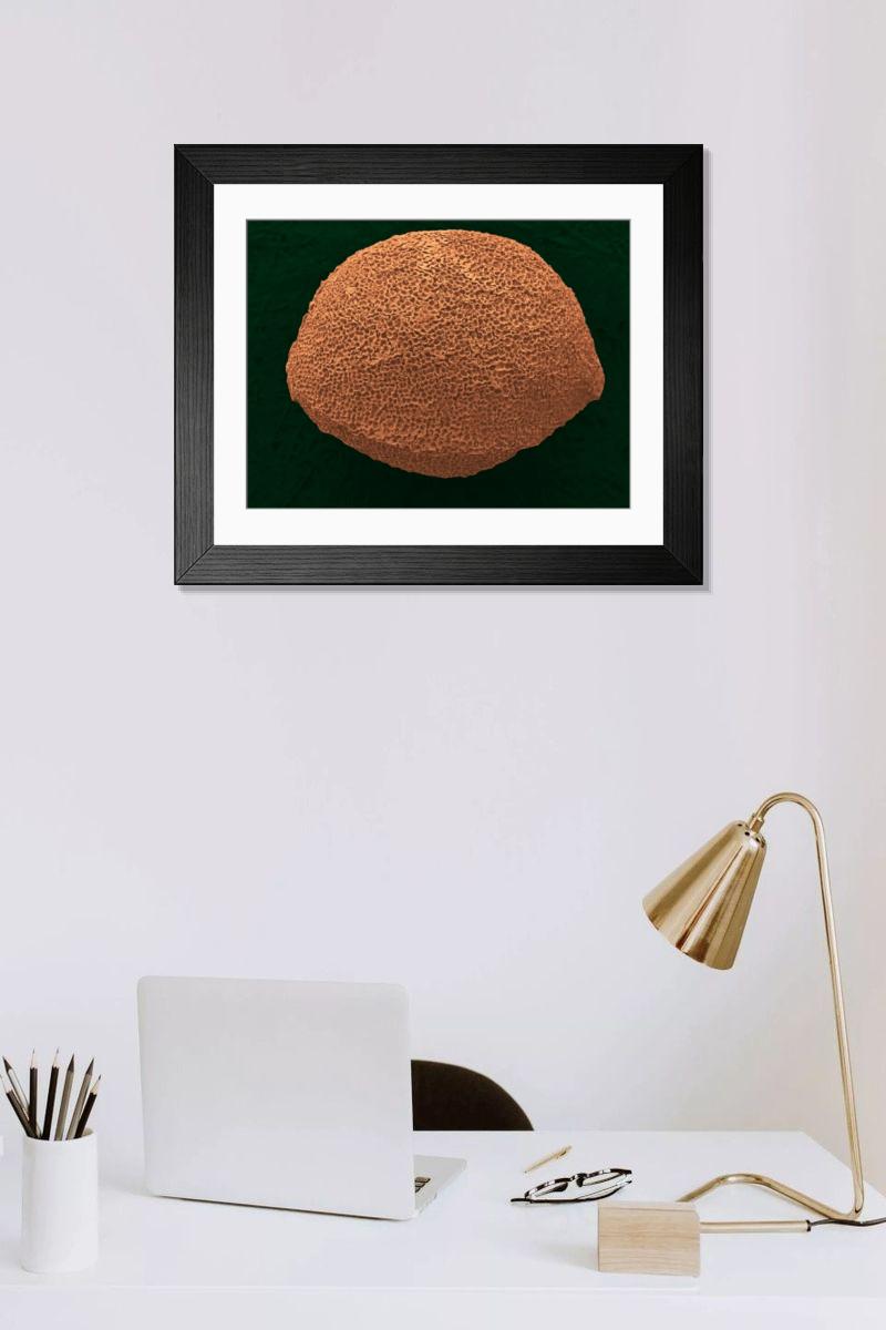 Shown hanging in a room: Modern 14"x12" (36x31cm)