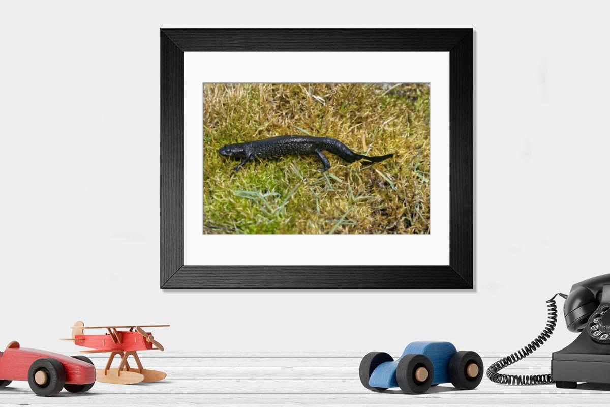 Shown hanging in a room: Modern 14"x12" (36x31cm)