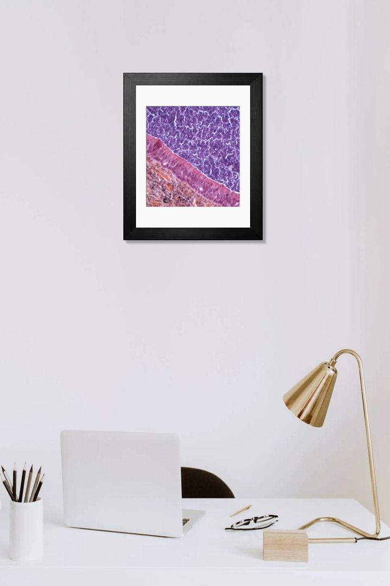 Shown hanging in a room: Modern 14"x12" (36x31cm)