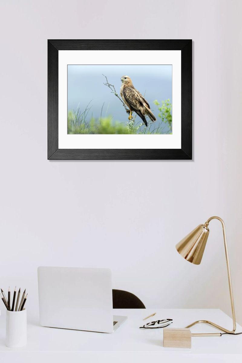 Shown hanging in a room: Modern 14"x12" (36x31cm)