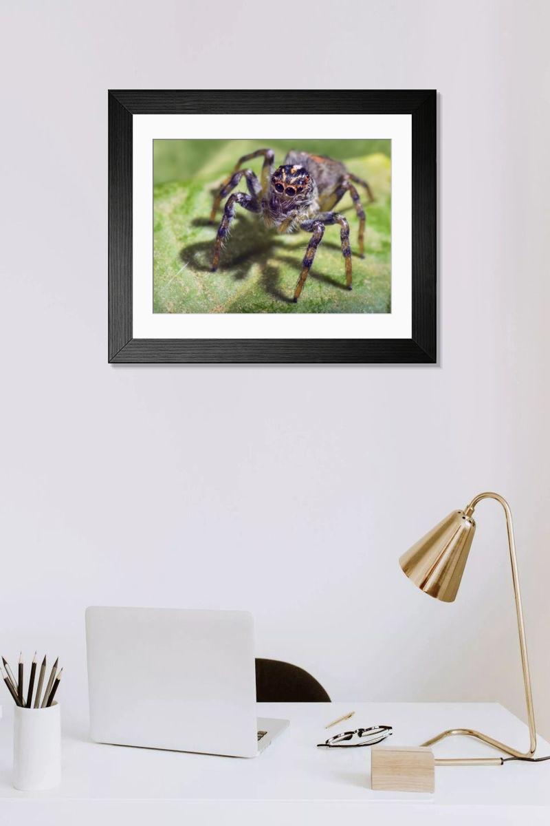 Shown hanging in a room: Modern 14"x12" (36x31cm)