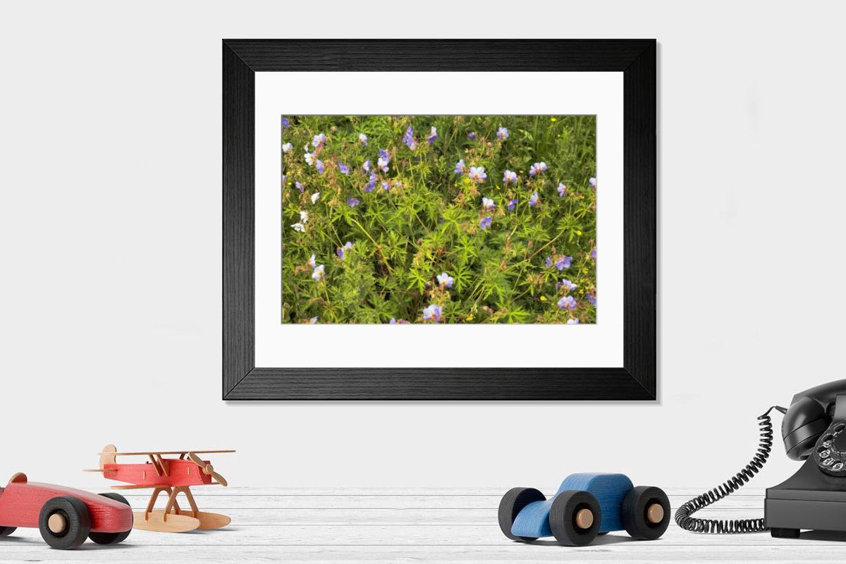 Shown hanging in a room: Modern 14"x12" (36x31cm)