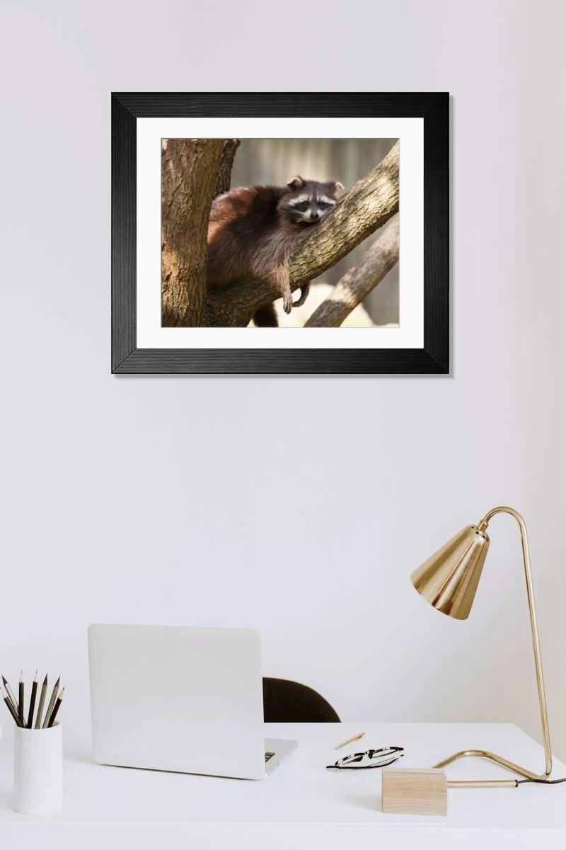 Shown hanging in a room: Modern 14"x12" (36x31cm)