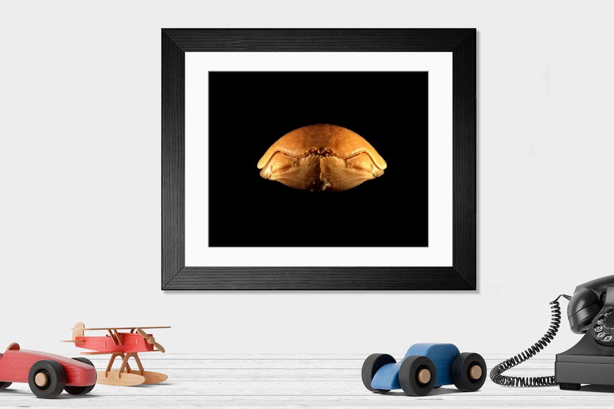 Shown hanging in a room: Modern 14"x12" (36x31cm)