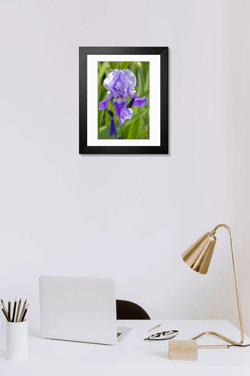 Shown hanging in a room: Modern 14"x12" (36x31cm)