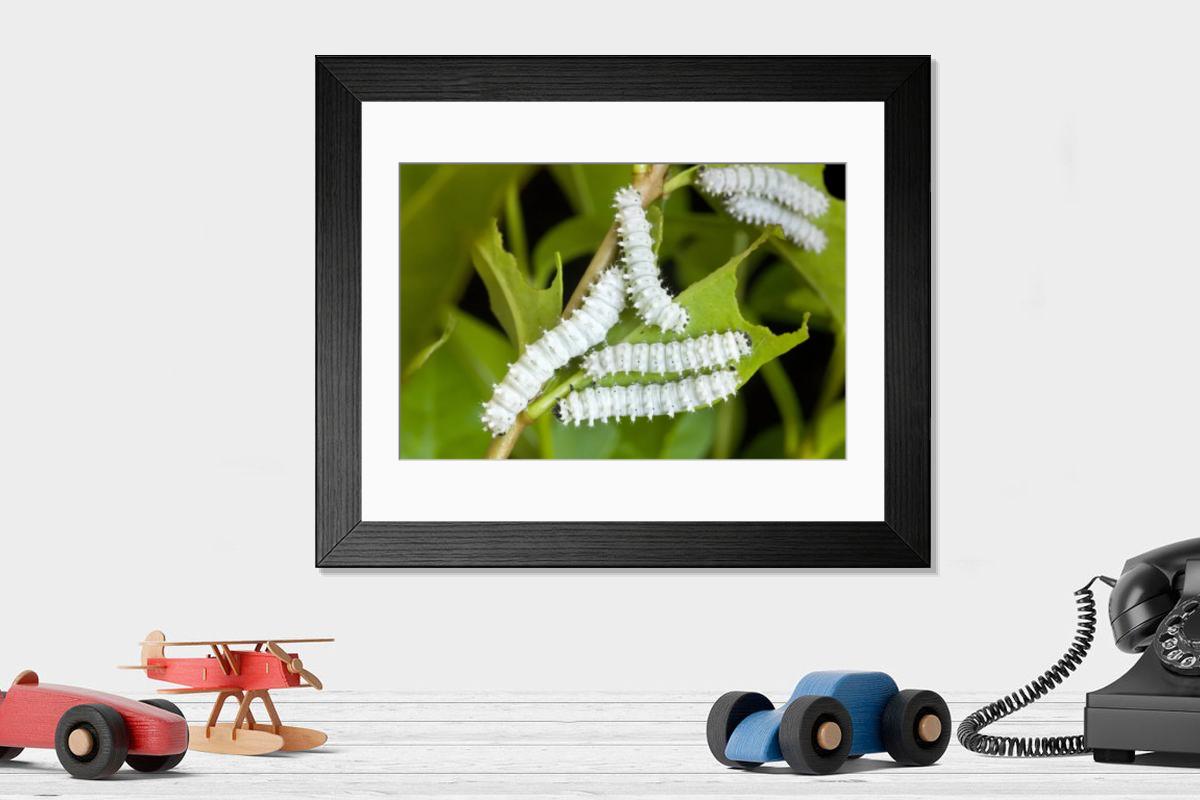 Shown hanging in a room: Modern 14"x12" (36x31cm)