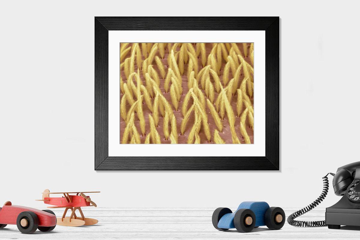 Shown hanging in a room: Modern 14"x12" (36x31cm)
