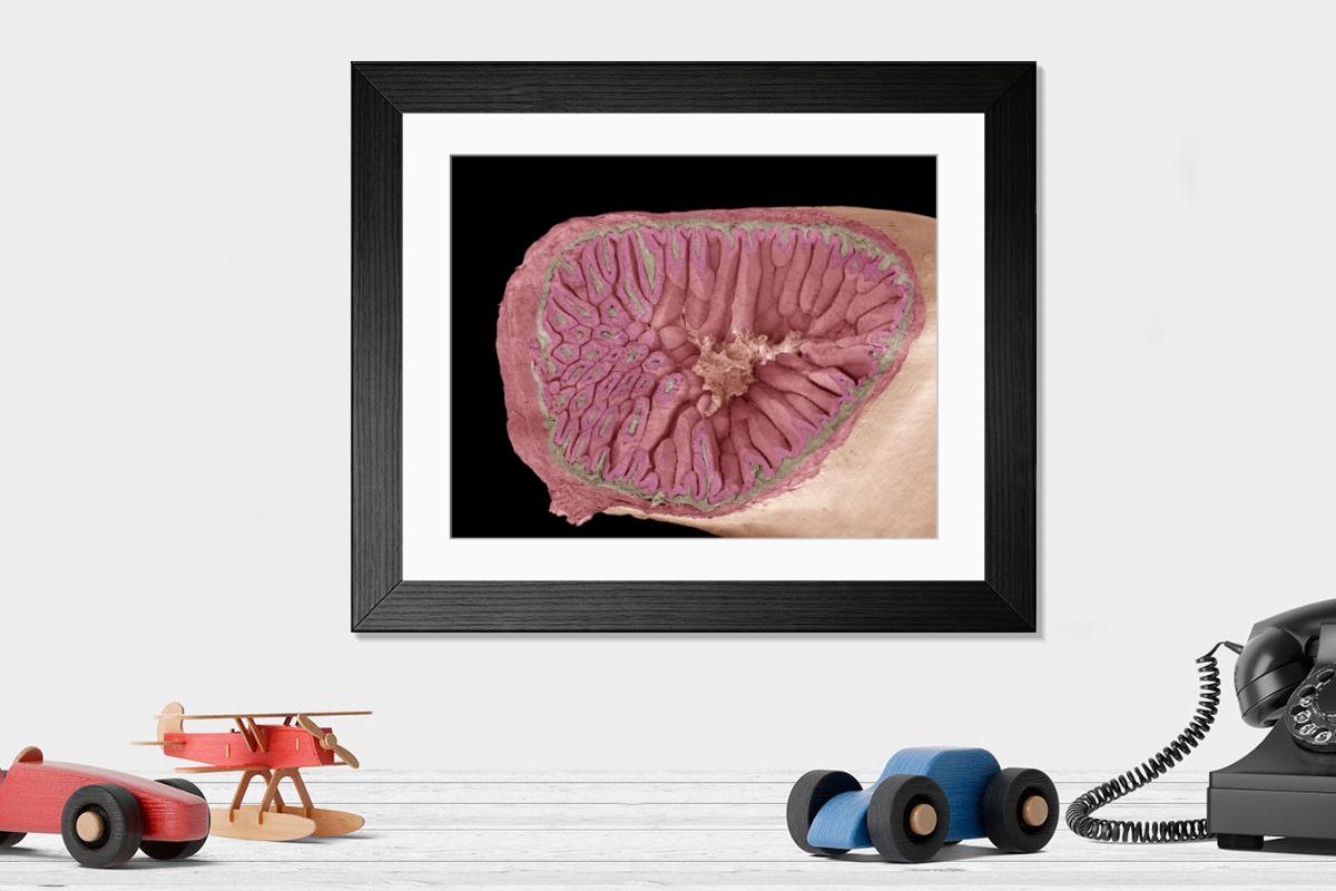 Shown hanging in a room: Modern 14"x12" (36x31cm)
