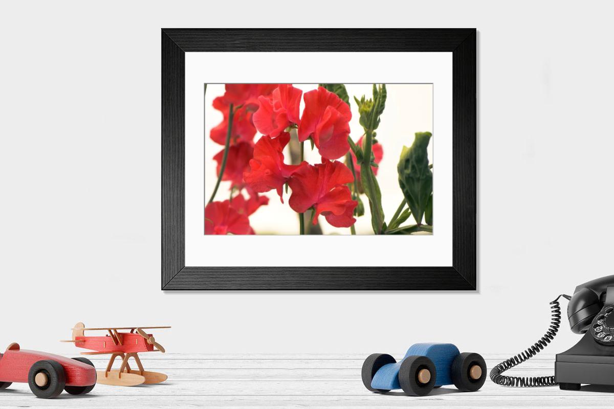 Shown hanging in a room: Modern 14"x12" (36x31cm)