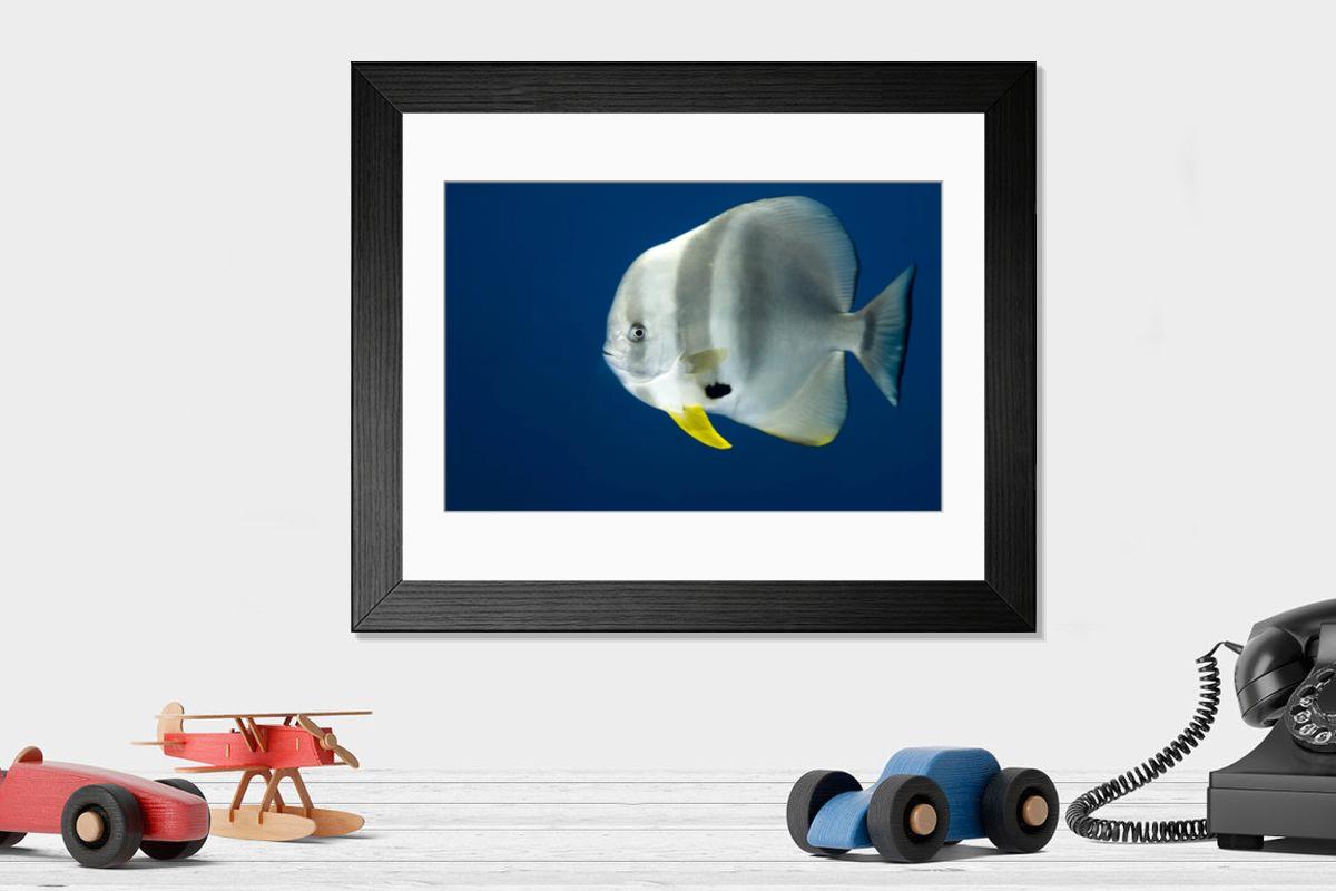 Shown hanging in a room: Modern 14"x12" (36x31cm)
