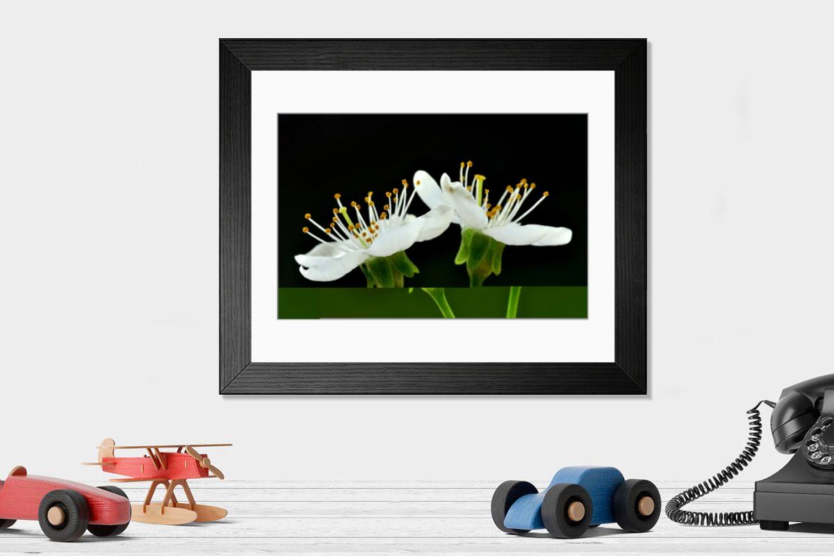 Shown hanging in a room: Modern 14"x12" (36x31cm)