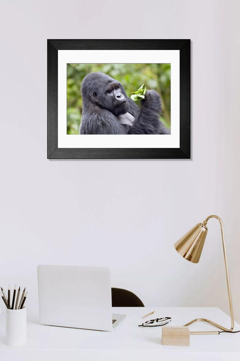 Shown hanging in a room: Modern 14"x12" (36x31cm)