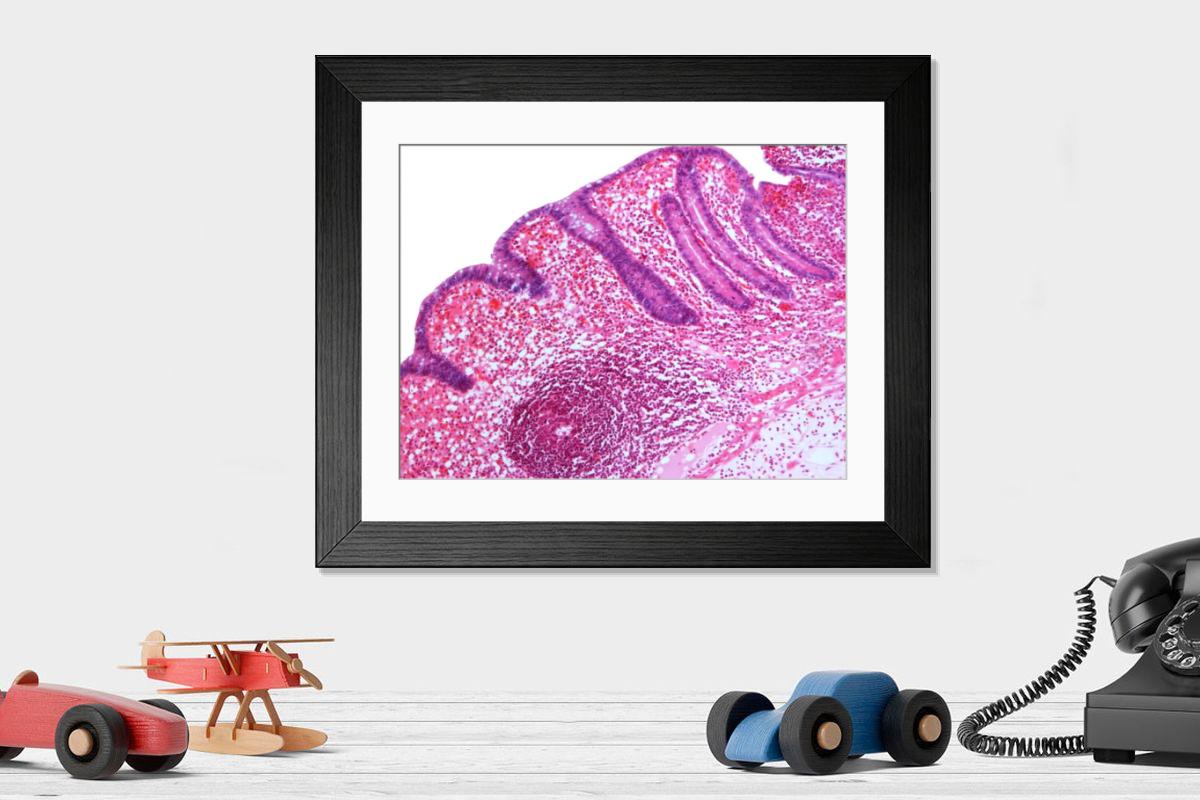 Shown hanging in a room: Modern 14"x12" (36x31cm)