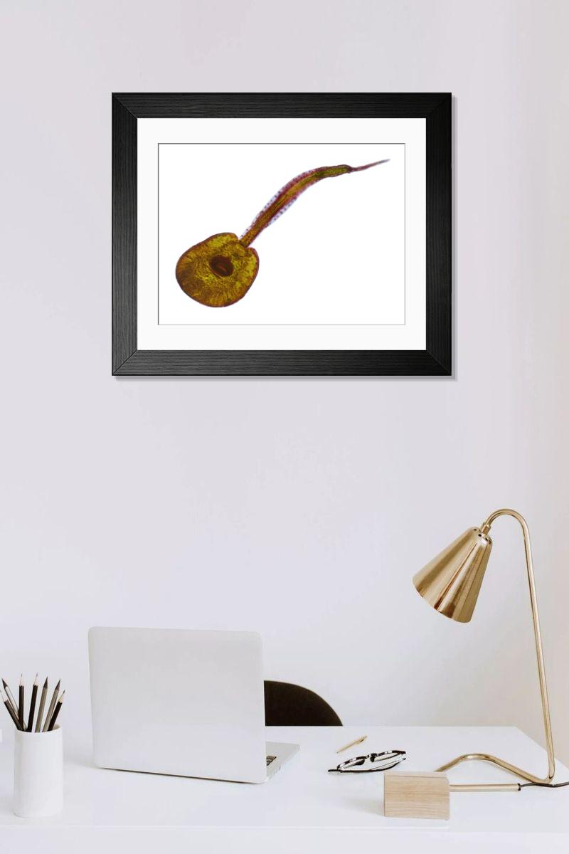 Shown hanging in a room: Modern 14"x12" (36x31cm)