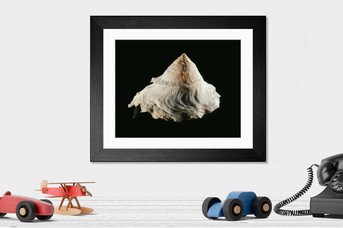 Shown hanging in a room: Modern 14"x12" (36x31cm)