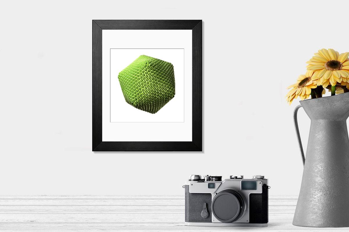 product preview 0