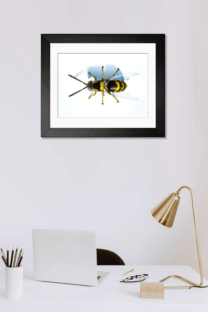 Shown hanging in a room: Modern 14"x12" (36x31cm)