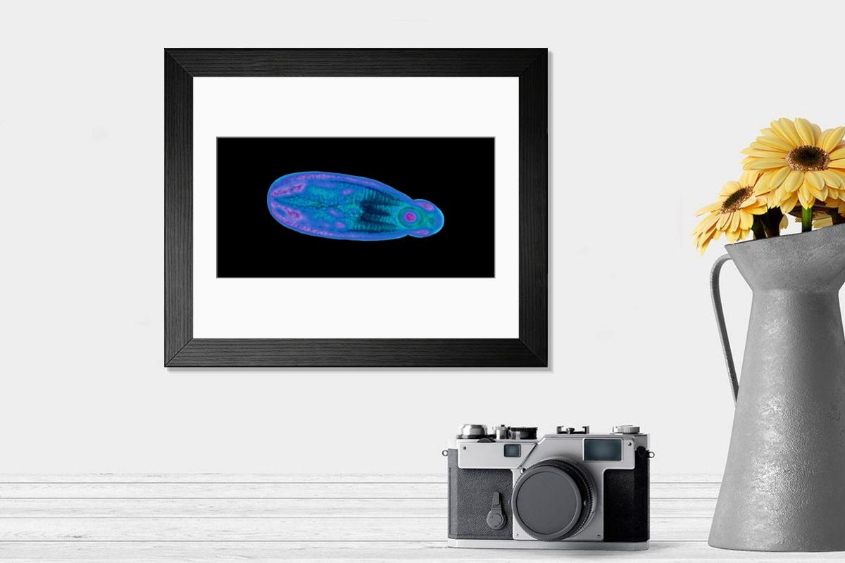 Shown hanging in a room: Modern 14"x12" (36x31cm)