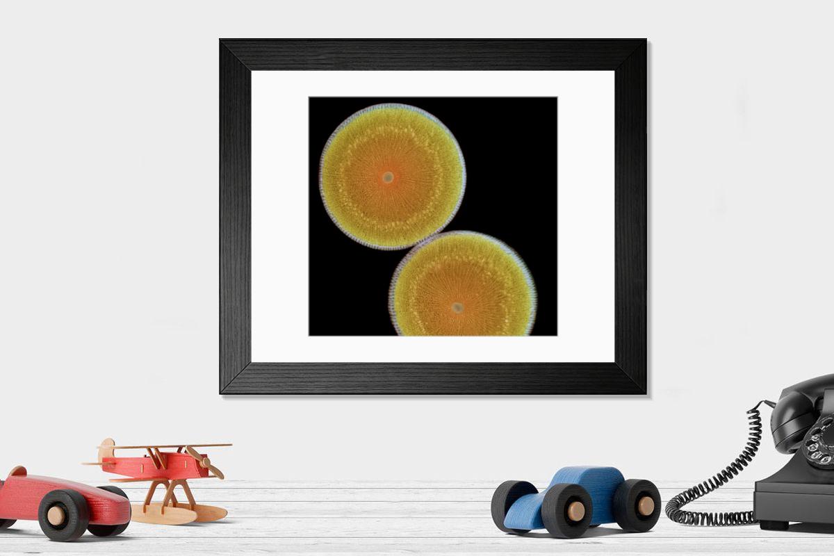 Shown hanging in a room: Modern 14"x12" (36x31cm)