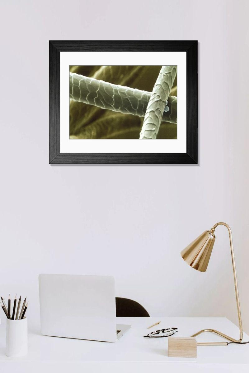 Shown hanging in a room: Modern 14"x12" (36x31cm)