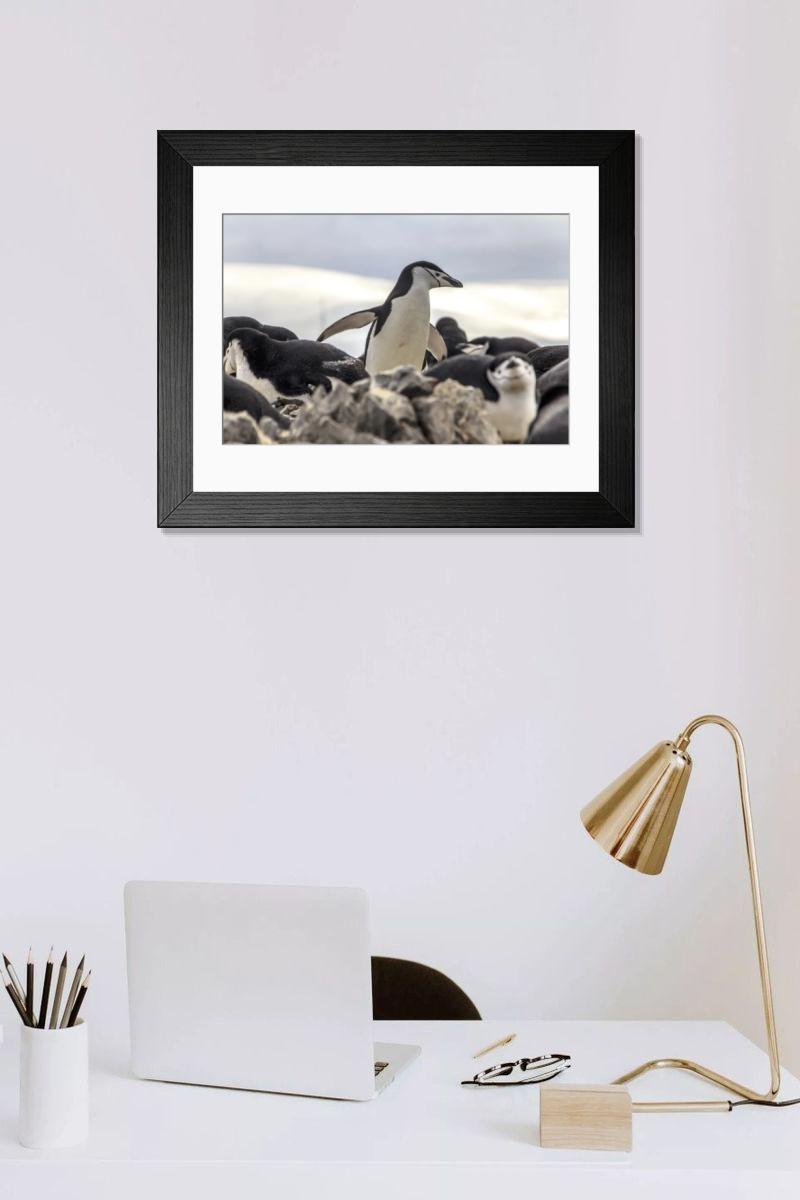 Shown hanging in a room: Modern 14"x12" (36x31cm)