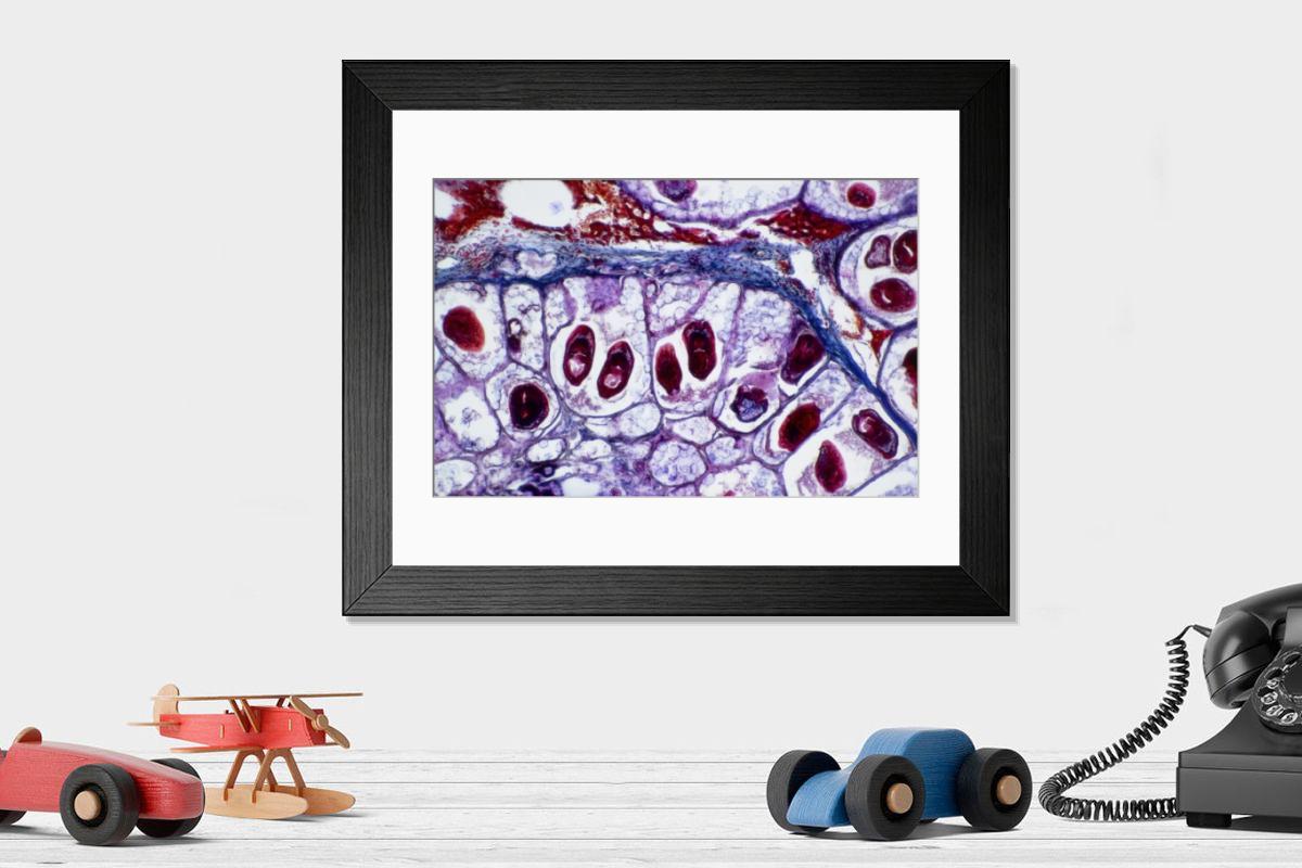 Shown hanging in a room: Modern 14"x12" (36x31cm)