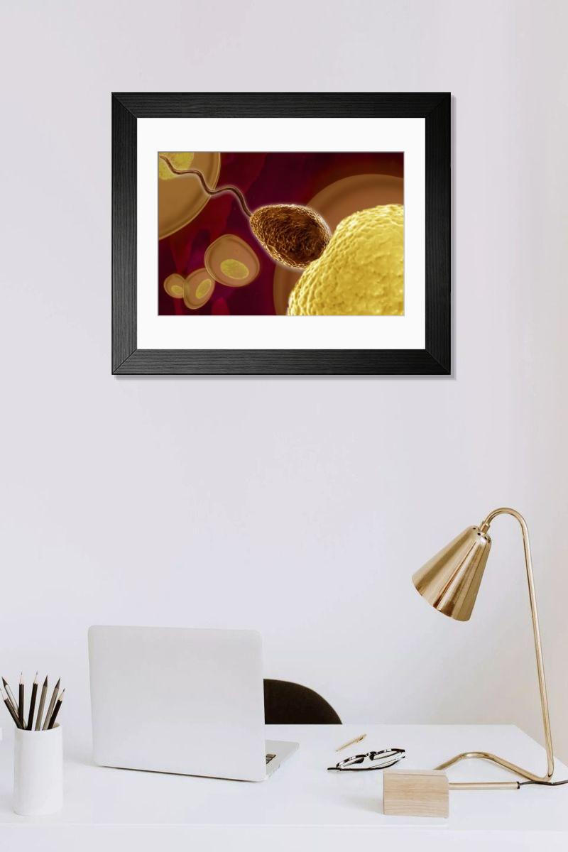 Shown hanging in a room: Modern 14"x12" (36x31cm)