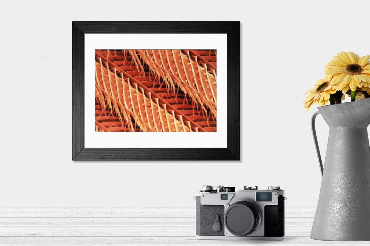 Shown hanging in a room: Modern 14"x12" (36x31cm)