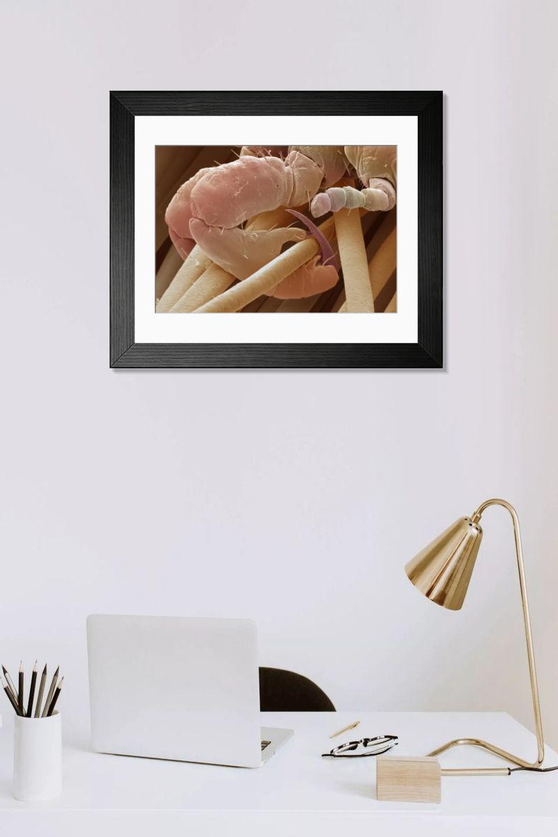 Shown hanging in a room: Modern 14"x12" (36x31cm)