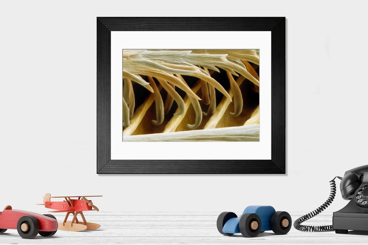 Shown hanging in a room: Modern 14"x12" (36x31cm)
