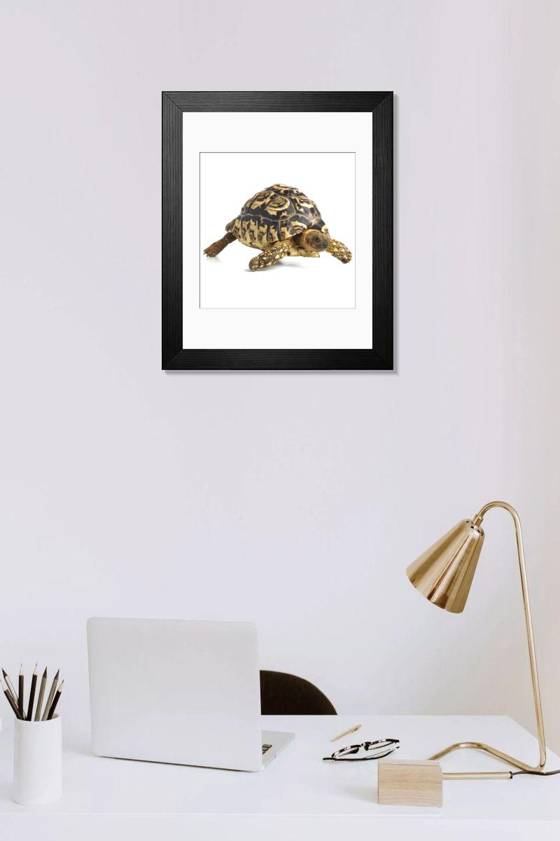 Shown hanging in a room: Modern 14"x12" (36x31cm)