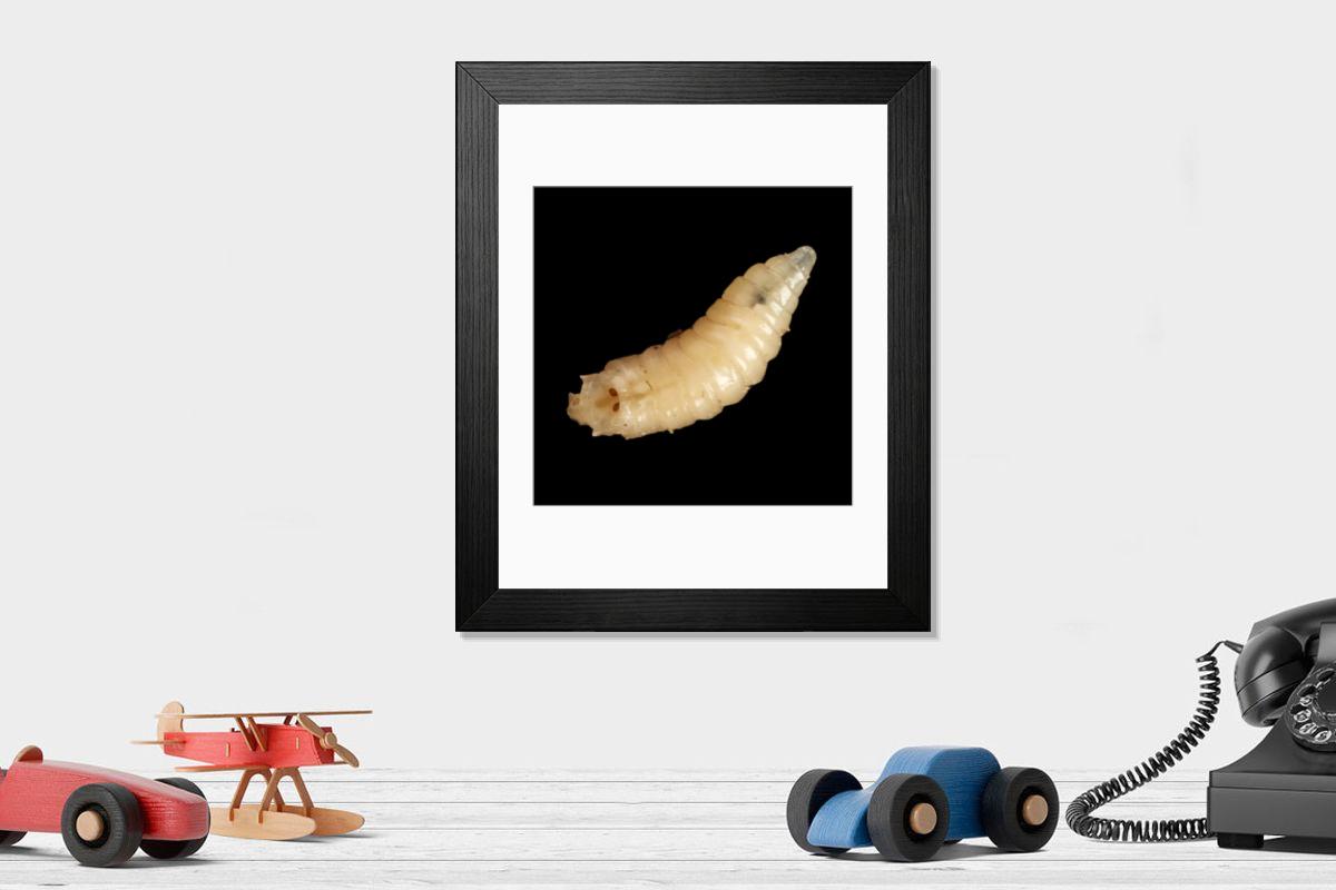 Shown hanging in a room: Modern 14"x12" (36x31cm)