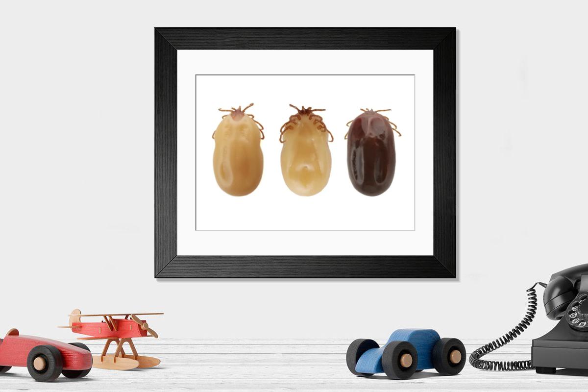 Shown hanging in a room: Modern 14"x12" (36x31cm)