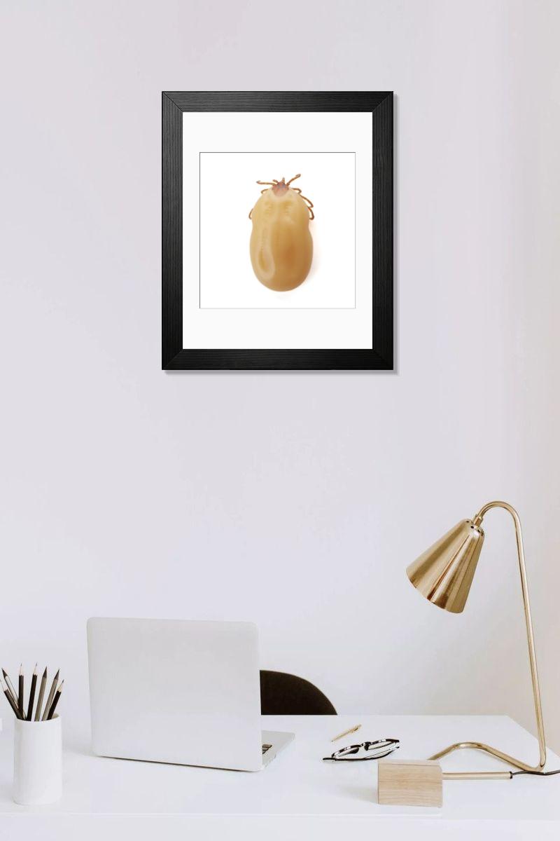 Shown hanging in a room: Modern 14"x12" (36x31cm)