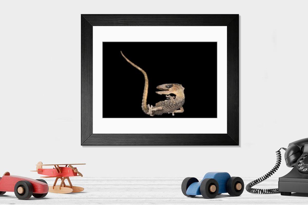 Shown hanging in a room: Modern 14"x12" (36x31cm)