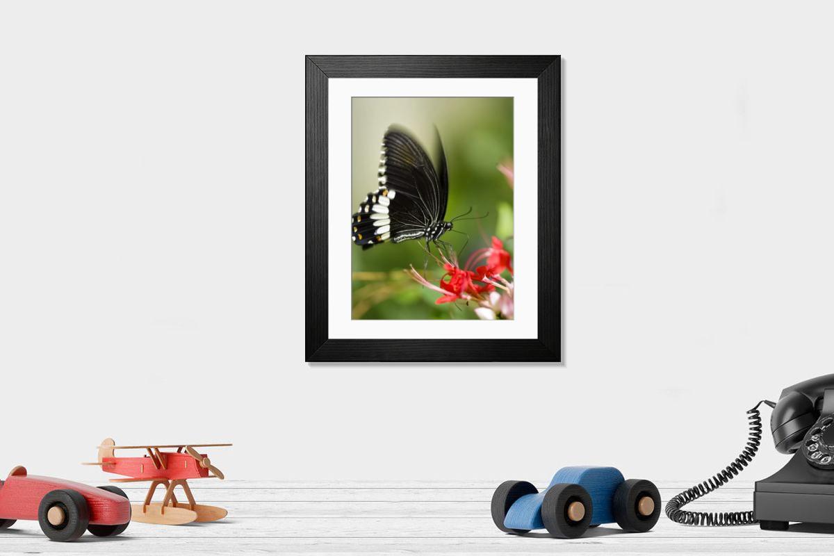 Shown hanging in a room: Modern 14"x12" (36x31cm)