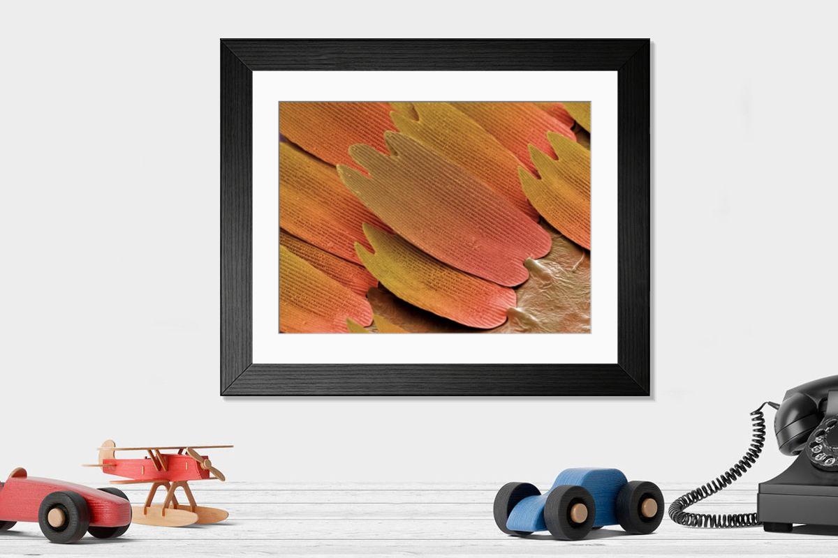Shown hanging in a room: Modern 14"x12" (36x31cm)