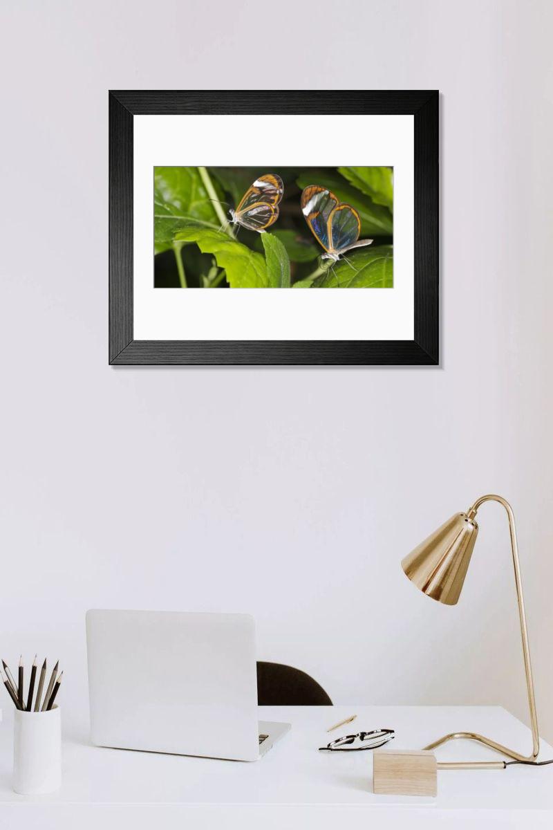 Shown hanging in a room: Modern 14"x12" (36x31cm)